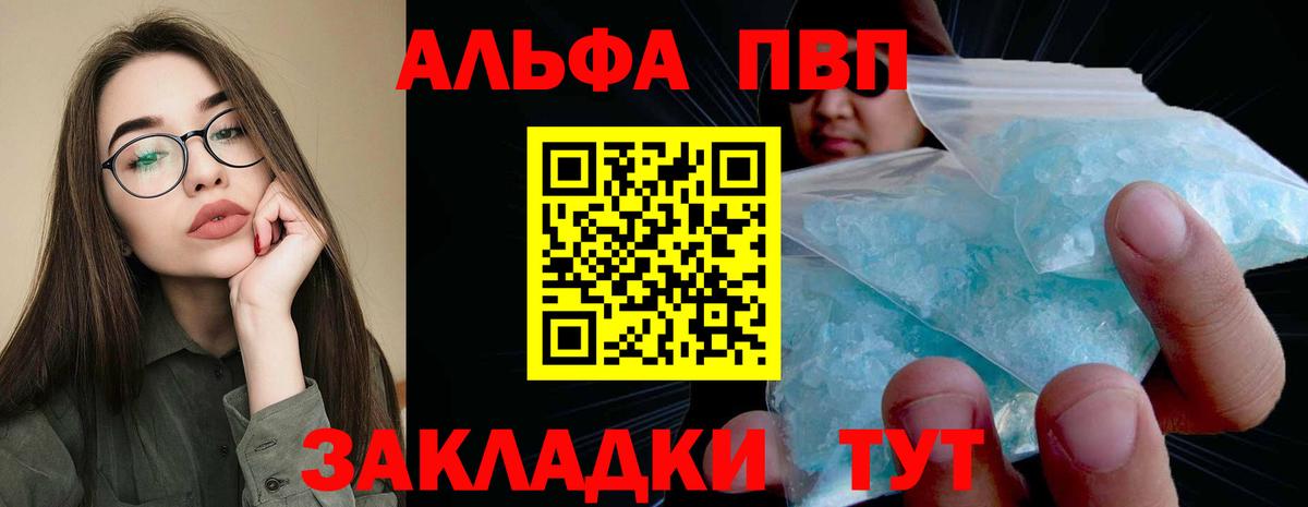 A PVP СК КРИС Пенза