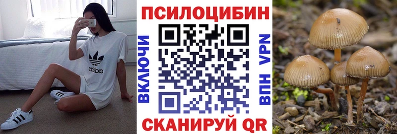 Псилоцибиновые грибы Cubensis  купить  сайты  Пенза 