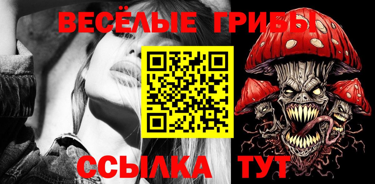 Псилоцибиновые грибы MAGIC MUSHROOMS  Вход с VPN  Пенза  наркошоп  Галлюциногенные грибы MAGIC MUSHROOMS 